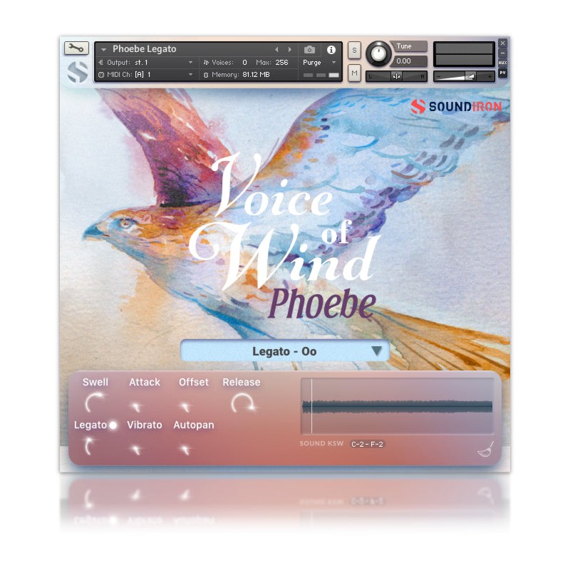 SOUNDIRON Voices of Wind Collection - Biblioteka brzmień (do pobrania)