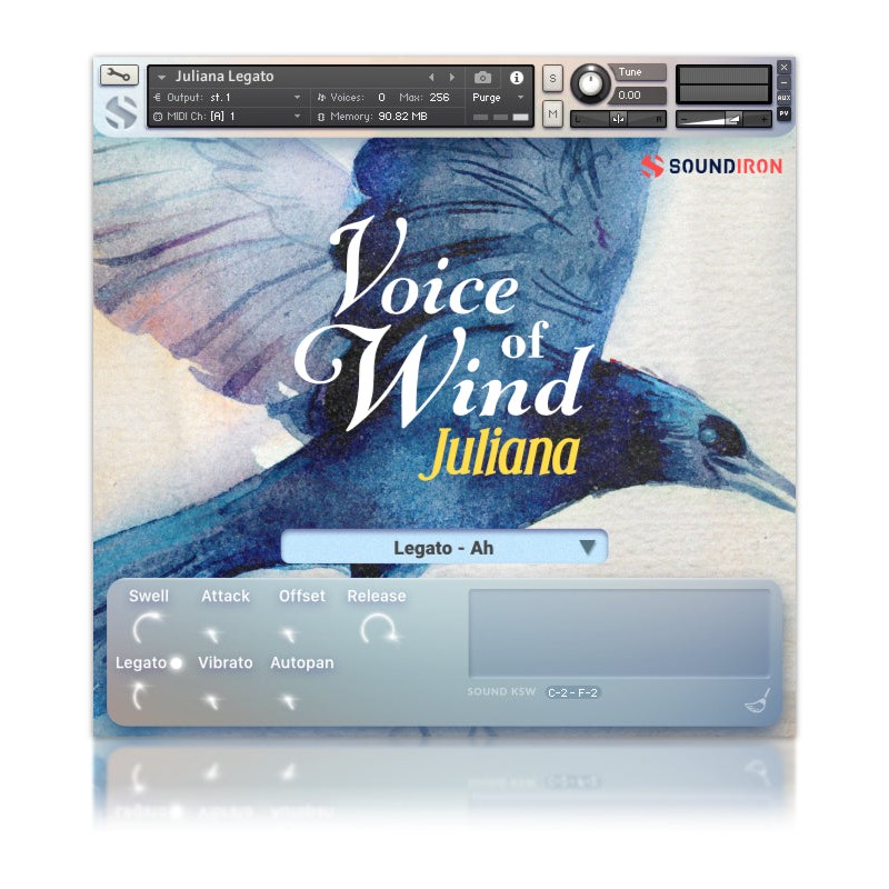 SOUNDIRON Voices of Wind Collection - Biblioteka brzmień (do pobrania)