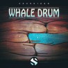 SOUNDIRON Whale Drum - Biblioteka brzmień (do pobrania)
