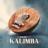 SOUNDIRON Kalimba - Biblioteka brzmień (do pobrania)