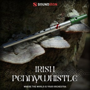 SOUNDIRON Iron Pack 11: Irish Penny Whistle - Biblioteka brzmień (do pobrania)