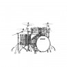 Tama TM42RZSS-SKB STAR Maple Shell Kit - Zestaw perkusyjny shell