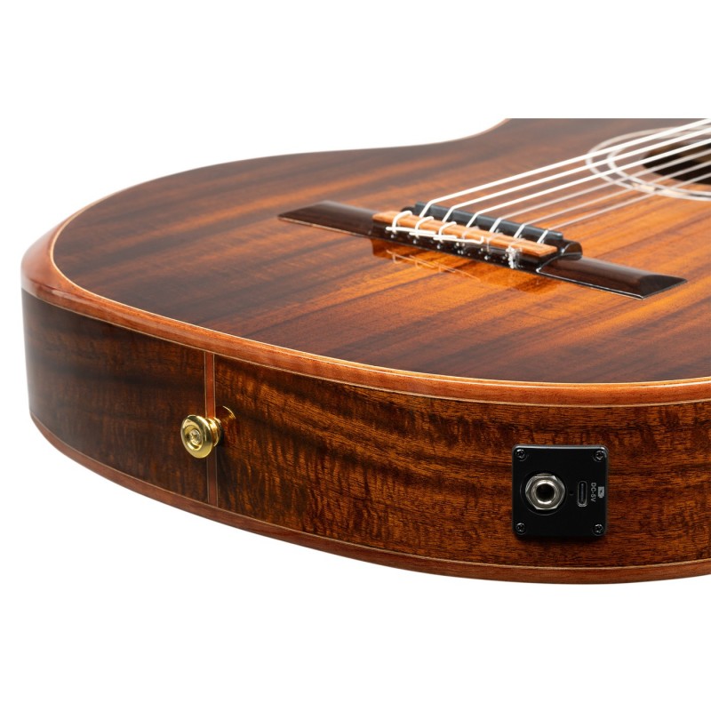 Ortega EXOTICSUITECE The Private Room - Gitara elektroklasyczna 4/4 z pokrowcem