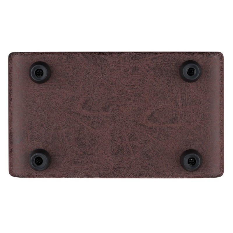 Ortega PTWO - Wzmacniacz akustyczny