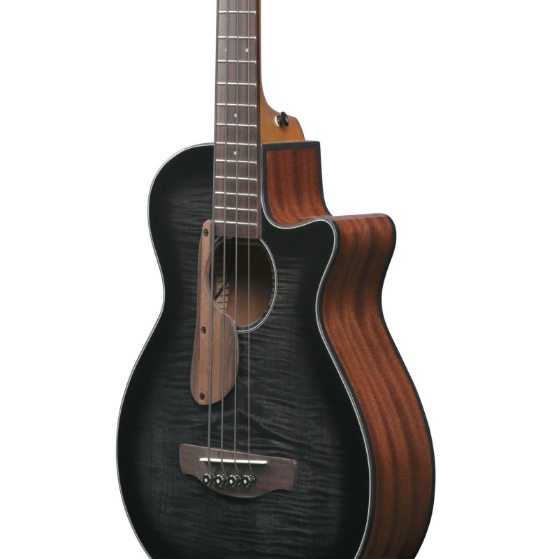 Ibanez AEGB25E-TKH AEGB - Bas akustyczny