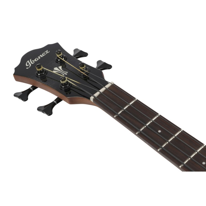 Ibanez AEGB25E-TKH AEGB - Bas akustyczny