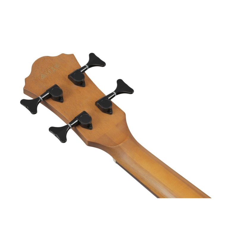 Ibanez AEGB25E-TKH AEGB - Bas akustyczny