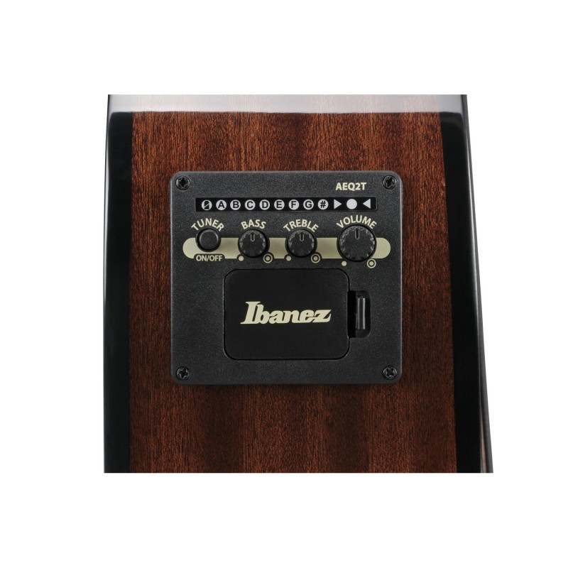 Ibanez AEGB25E-TKH AEGB - Bas akustyczny