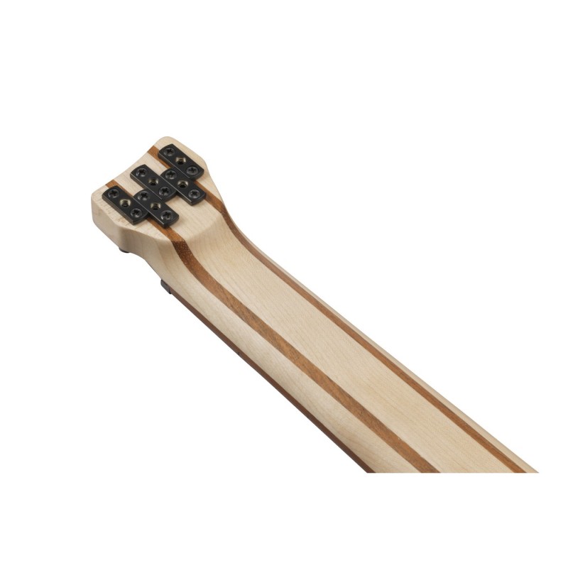 Ibanez EHB605-PRM Bass Workshop EHB - Gitara basowa