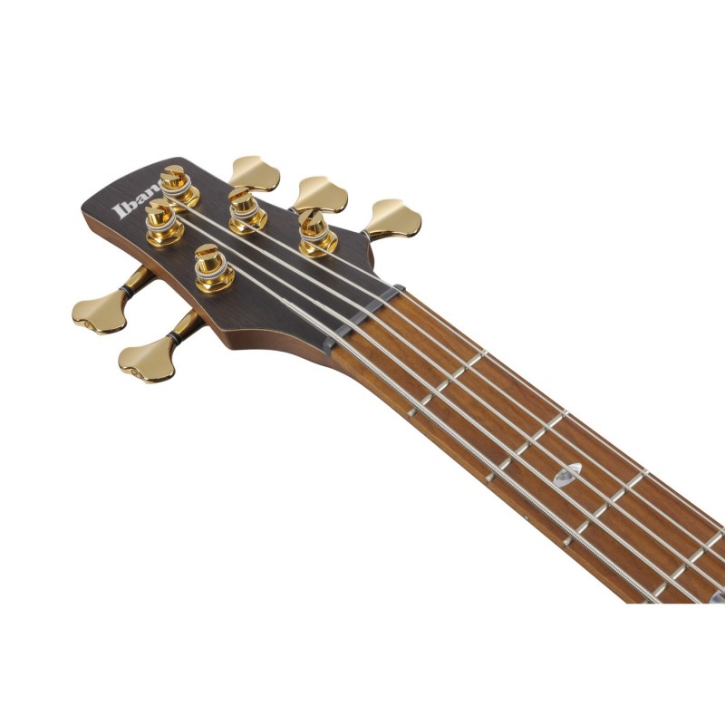 Ibanez SR4505-DST Prestige SR - Gitara basowa z futerałem