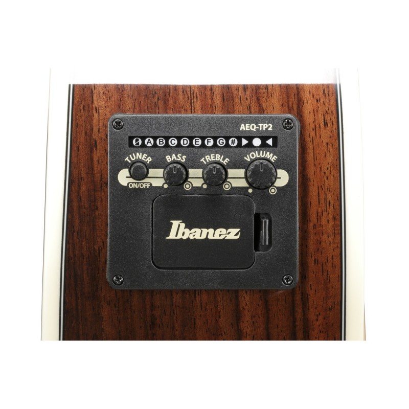 Ibanez AC391RCE-BKH Artwood AC - Gitara elektroakustyczna