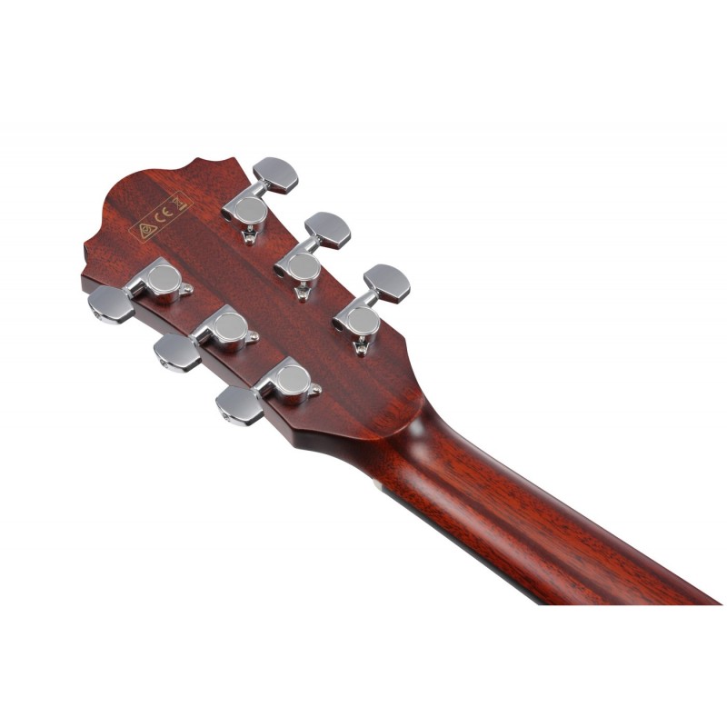 Ibanez AE410-LGS Platinum Collection - Gitara elektroakustyczna z futerałem