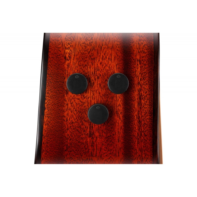 Ibanez AE410-LGS Platinum Collection - Gitara elektroakustyczna z futerałem