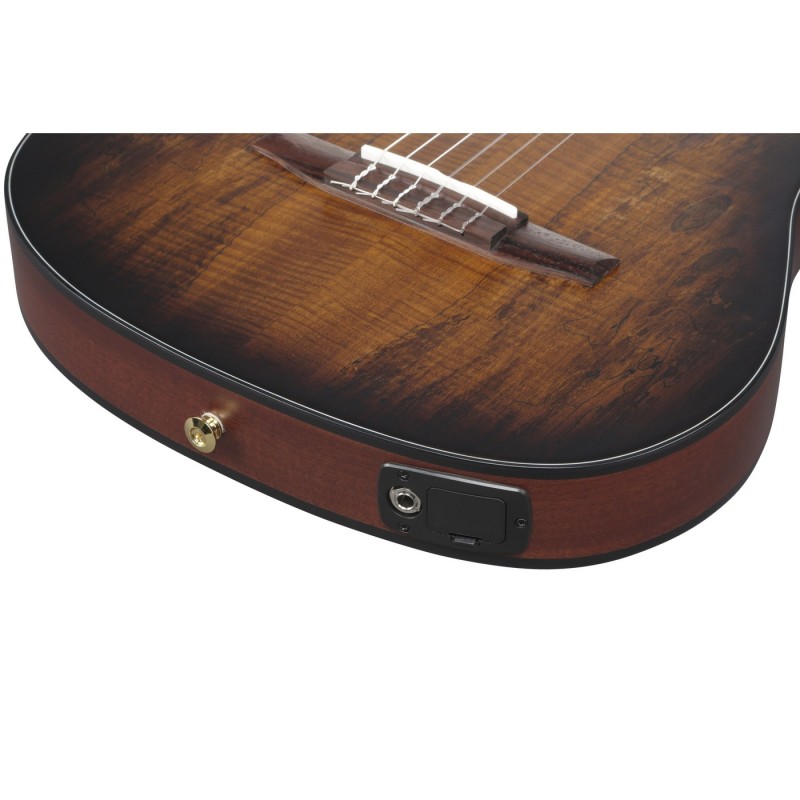 Ibanez FRH20SMN-TCL FRH - Gitara elektroklasyczna