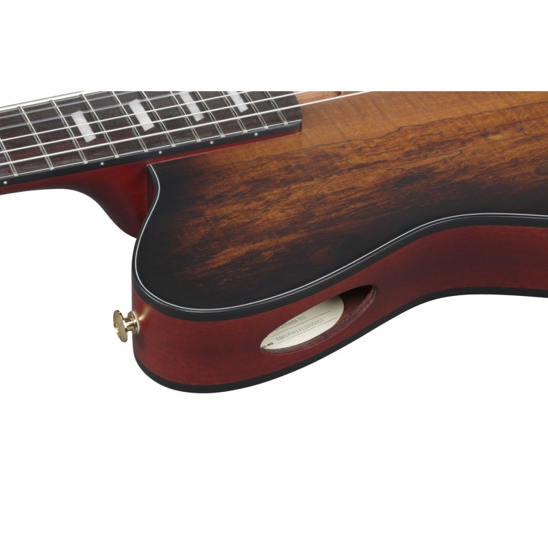 Ibanez FRH20SMN-TCL FRH - Gitara elektroklasyczna