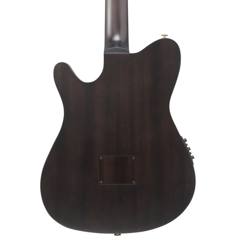 Ibanez FRH20FMN-DGL FRH - Gitara elektroklasyczna