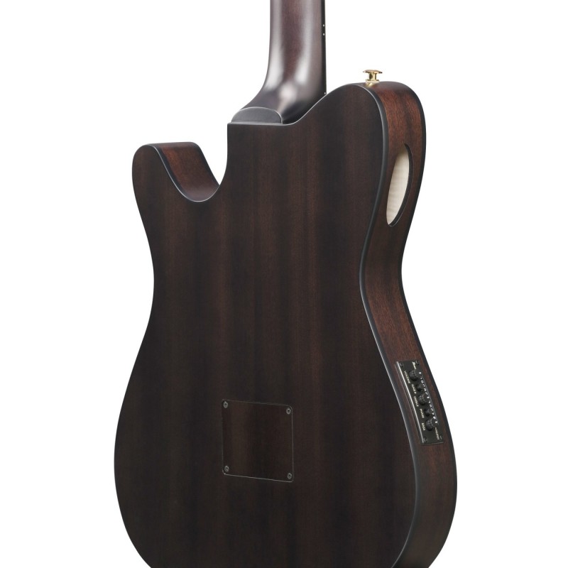 Ibanez FRH20FMN-DGL FRH - Gitara elektroklasyczna