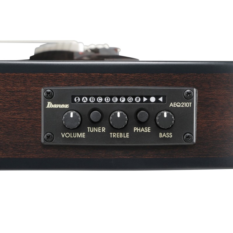 Ibanez FRH20FMN-DGL FRH - Gitara elektroklasyczna