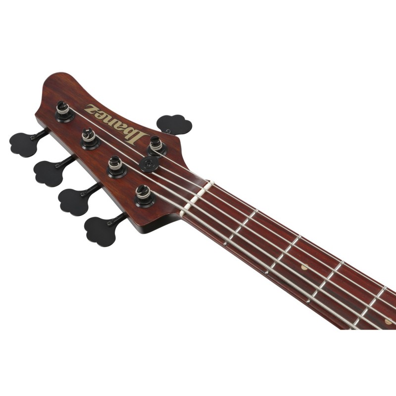 Ibanez IV2MDM Visions MODE - Gitara basowa z futerałem