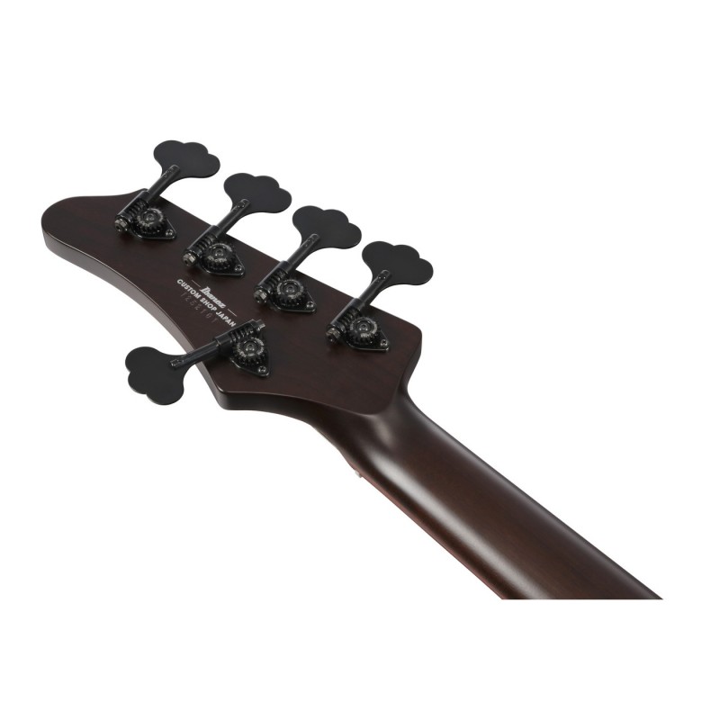 Ibanez IV2MDM Visions MODE - Gitara basowa z futerałem