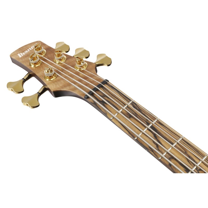 Ibanez IV1SR Visions RG - Gitara basowa z futerałem