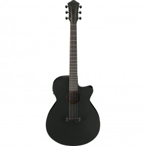 Ibanez AEG621-BOT AEG Acoustic - Gitara elektroakustyczna