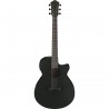 Ibanez AEG621-BOT AEG Acoustic - Gitara elektroakustyczna