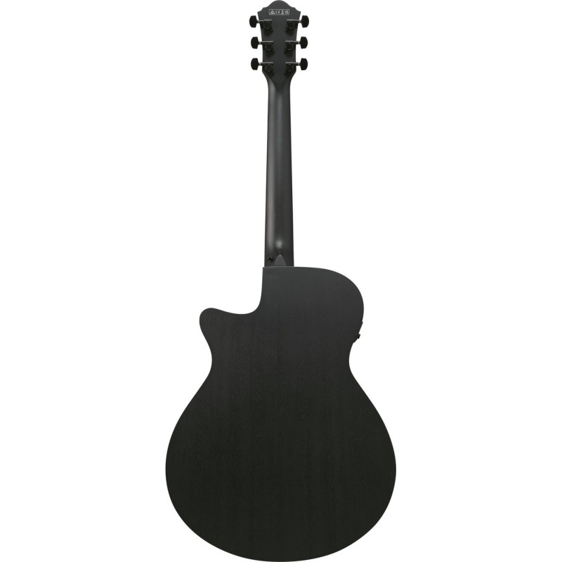 Ibanez AEG621-BOT AEG Acoustic - Gitara elektroakustyczna