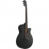 Ibanez AEG621-BOT AEG Acoustic - Gitara elektroakustyczna