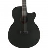 Ibanez AEG621-BOT AEG Acoustic - Gitara elektroakustyczna