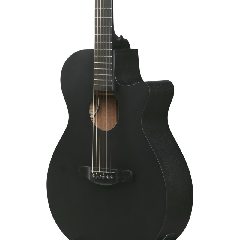 Ibanez AEG621-BOT AEG Acoustic - Gitara elektroakustyczna
