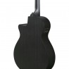 Ibanez AEG621-BOT AEG Acoustic - Gitara elektroakustyczna