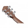 Ibanez AEWC16QA-TLH AEWC Acoustic - Gitara elektroakustyczna