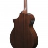 Ibanez AEWC16QA-TEH AEWC Acoustic - Gitara elektroakustyczna