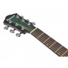 Ibanez AEWC16QA-TEH AEWC Acoustic - Gitara elektroakustyczna