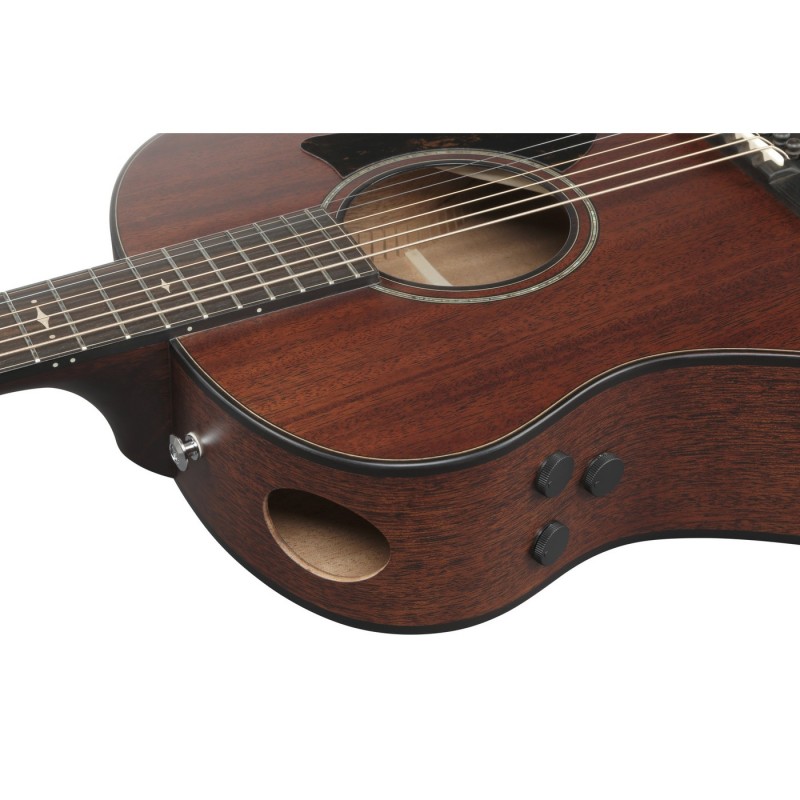 Ibanez AAM740E-LG Advanced Acoustic Platinum Collection - Gitara elektroakustyczna z futerałem