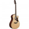 Ibanez AAM700CE-NT Advanced Acoustic Platinum Collection - Gitara elektroakustyczna z futerałem