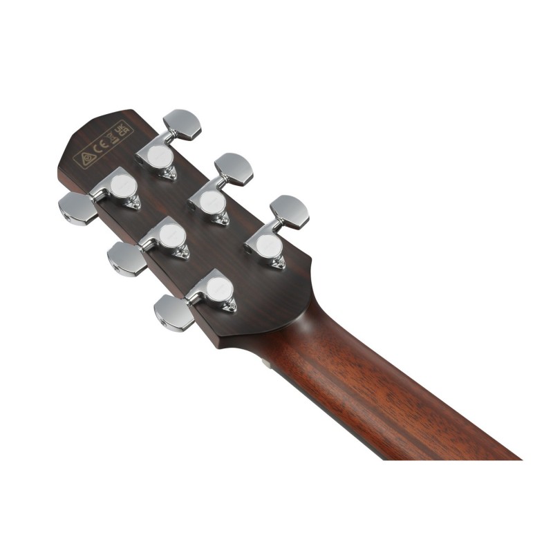 Ibanez AAM700CE-NT Advanced Acoustic Platinum Collection - Gitara elektroakustyczna z futerałem