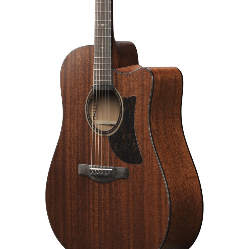 Ibanez AAD440CE-LGS Advanced Acoustic Platinum Collection - Gitara elektroakustyczna z futerałem