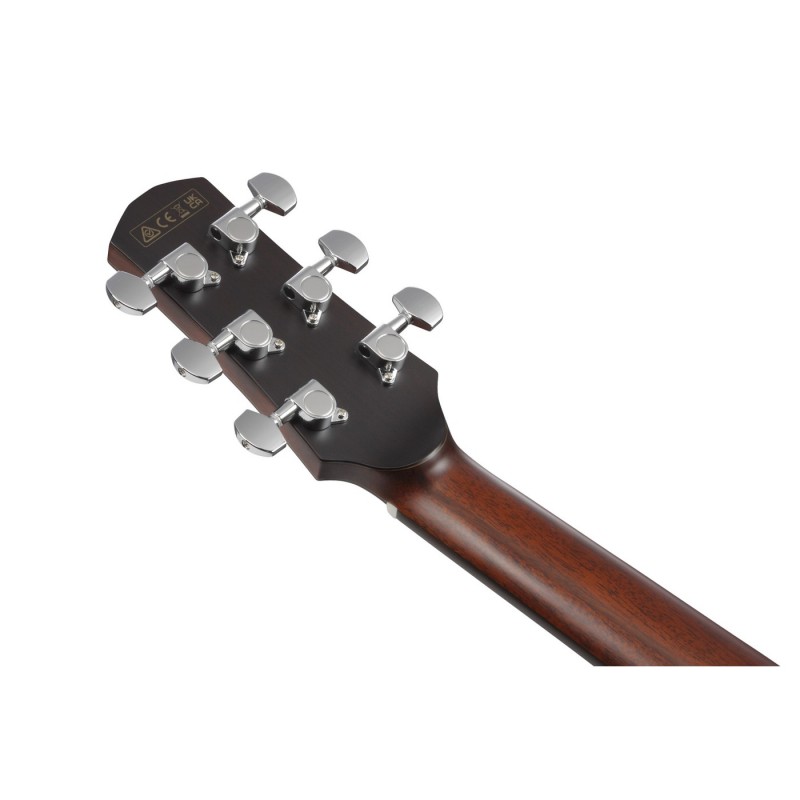 Ibanez AAD440CE-LGS Advanced Acoustic Platinum Collection - Gitara elektroakustyczna z futerałem