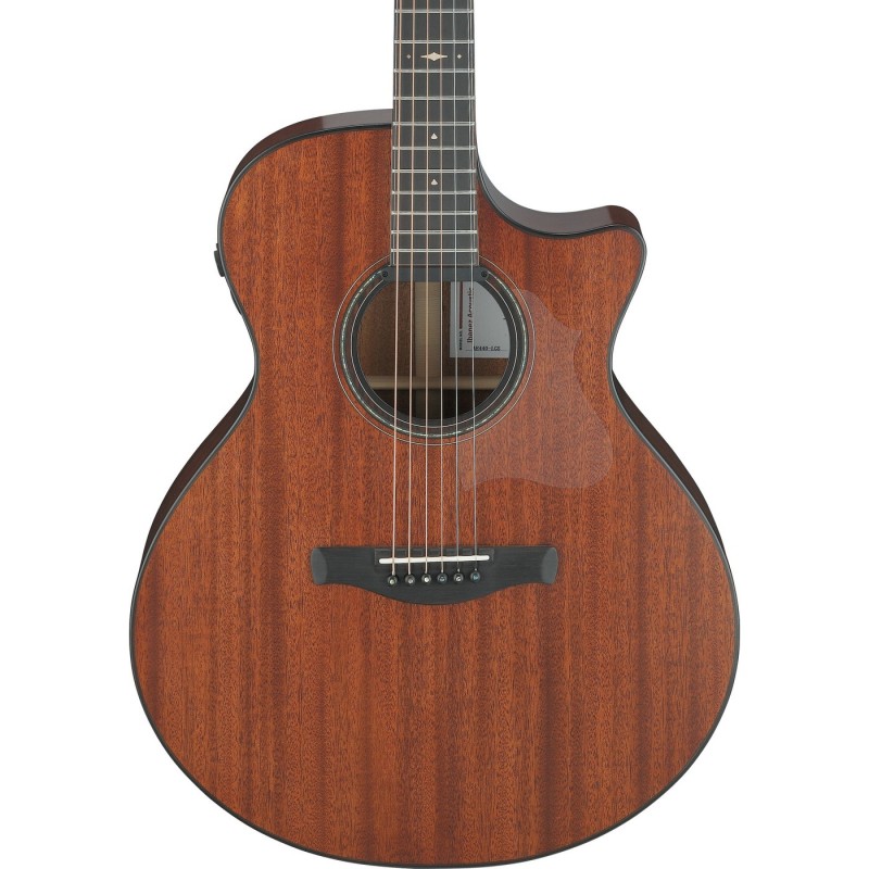 Ibanez AE440-LGS Platinum Collection AE - Gitara elektroakustyczna z futerałem