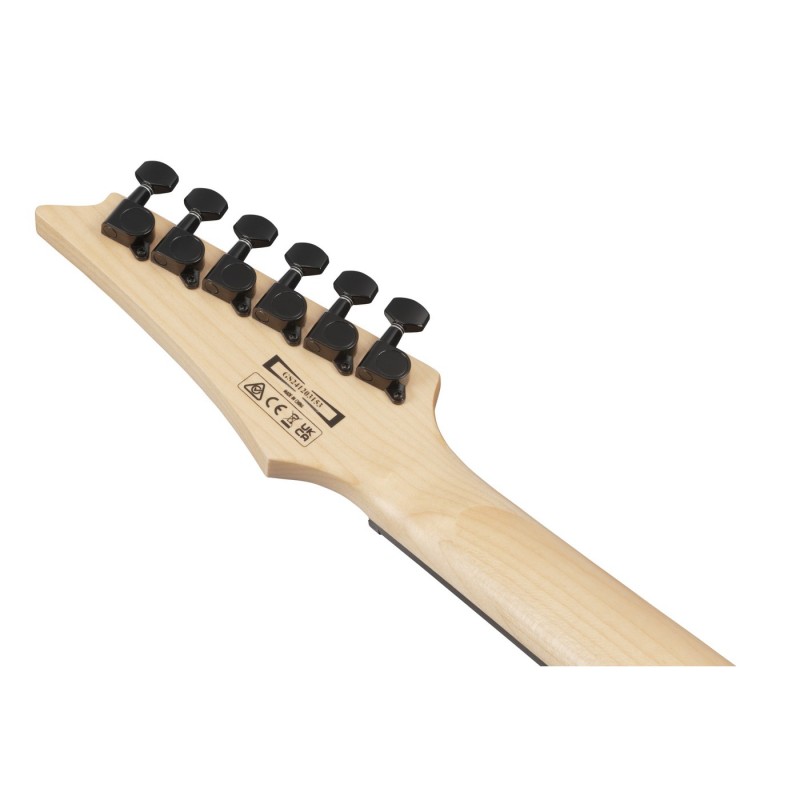 Ibanez GRG120QASPBKG GIO RG - Gitara elektryczna