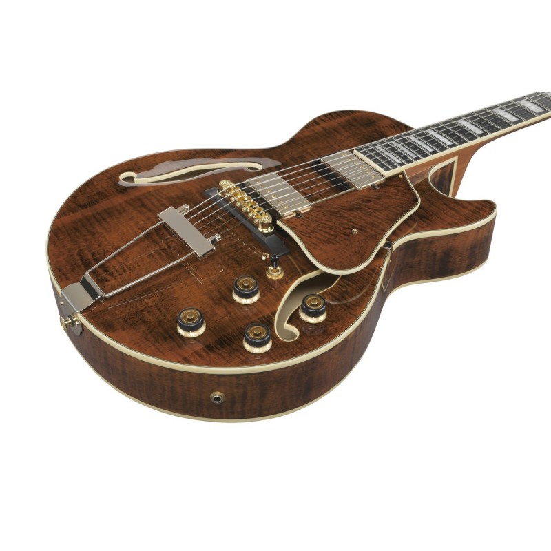 Ibanez AG95MG-DA Artcore Expressionist AG Hollow Body - Gitara elektryczna