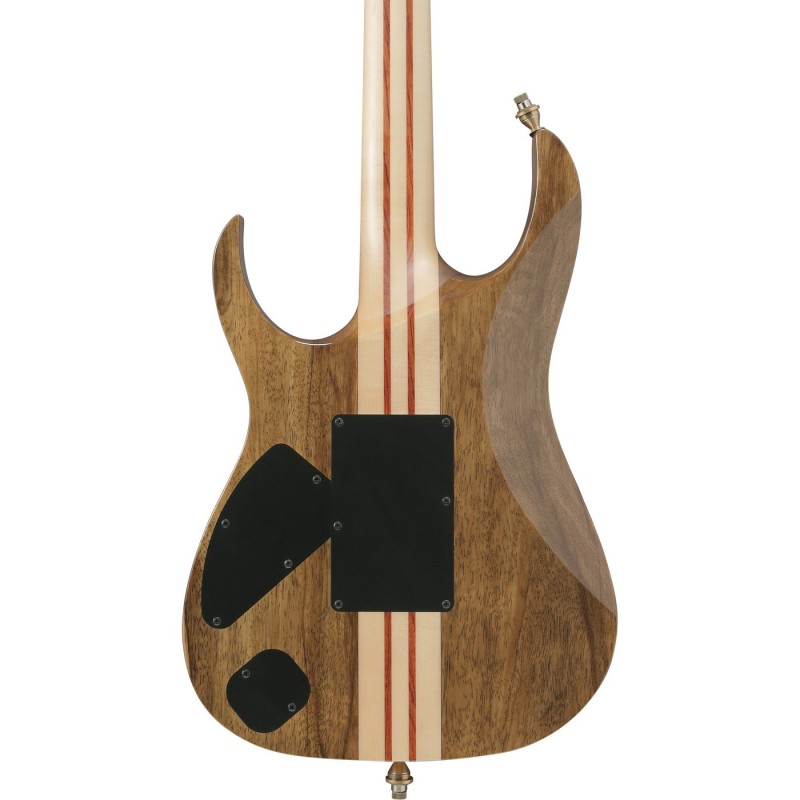 Ibanez IV2RG Visions RG - Gitara elektryczna z futerałem