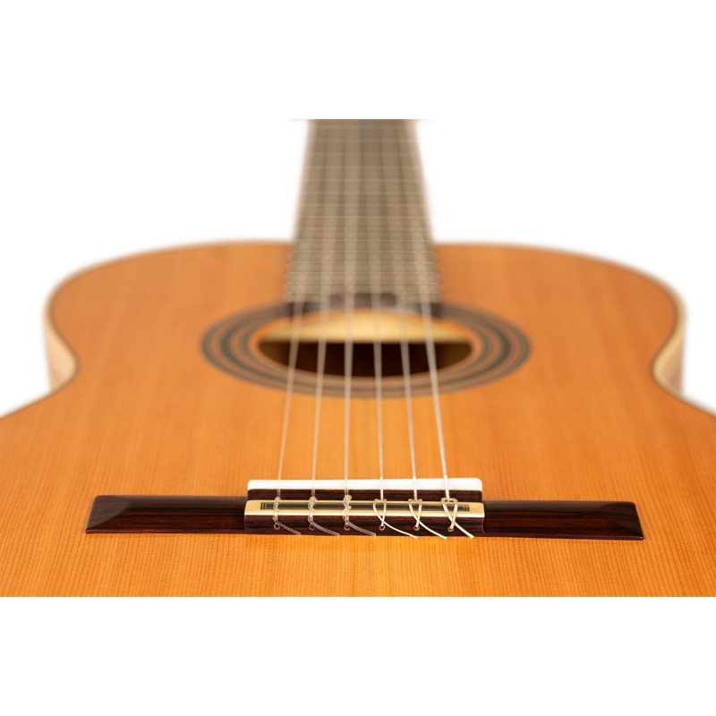 Ortega R20GRG-L Traditional Series - Gitara klasyczna 4/4 leworęczna z pokrowcem