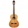 Ortega R20GWN Traditional Series - Gitara klasyczna 4/4 z pokrowcem