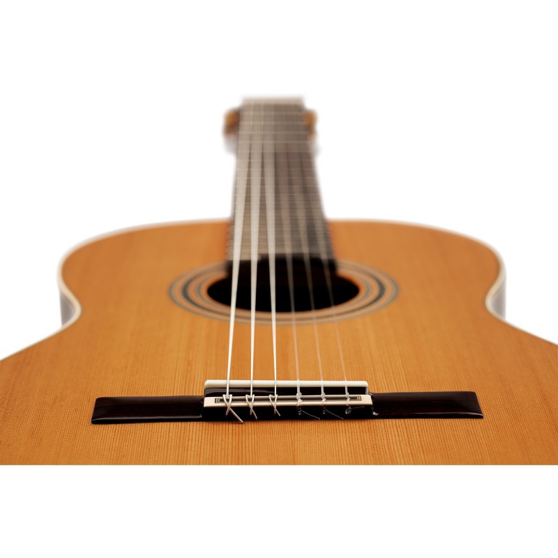Ortega R20GWN Traditional Series - Gitara klasyczna 4/4 z pokrowcem