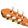 Ortega R20GWN Traditional Series - Gitara klasyczna 4/4 z pokrowcem