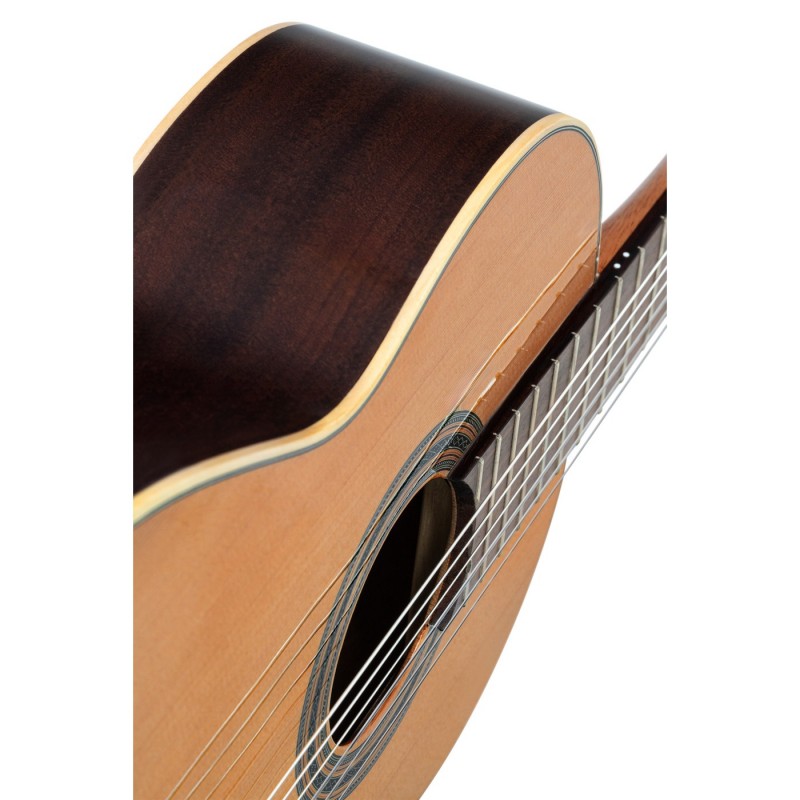 Ortega R19G Traditional Series - Gitara klasyczna 4/4 z pokrowcem