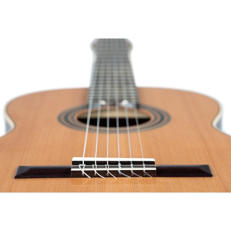 Ortega R19G Traditional Series - Gitara klasyczna 4/4 z pokrowcem